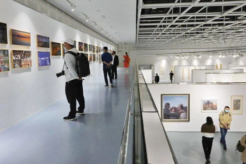 推动长三角文艺创作由高原迈向高峰 这个展览你一定要来看