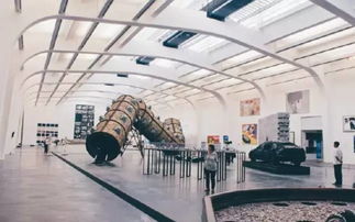 新生攻略四 沙河划船不用桨，文艺创作启新章